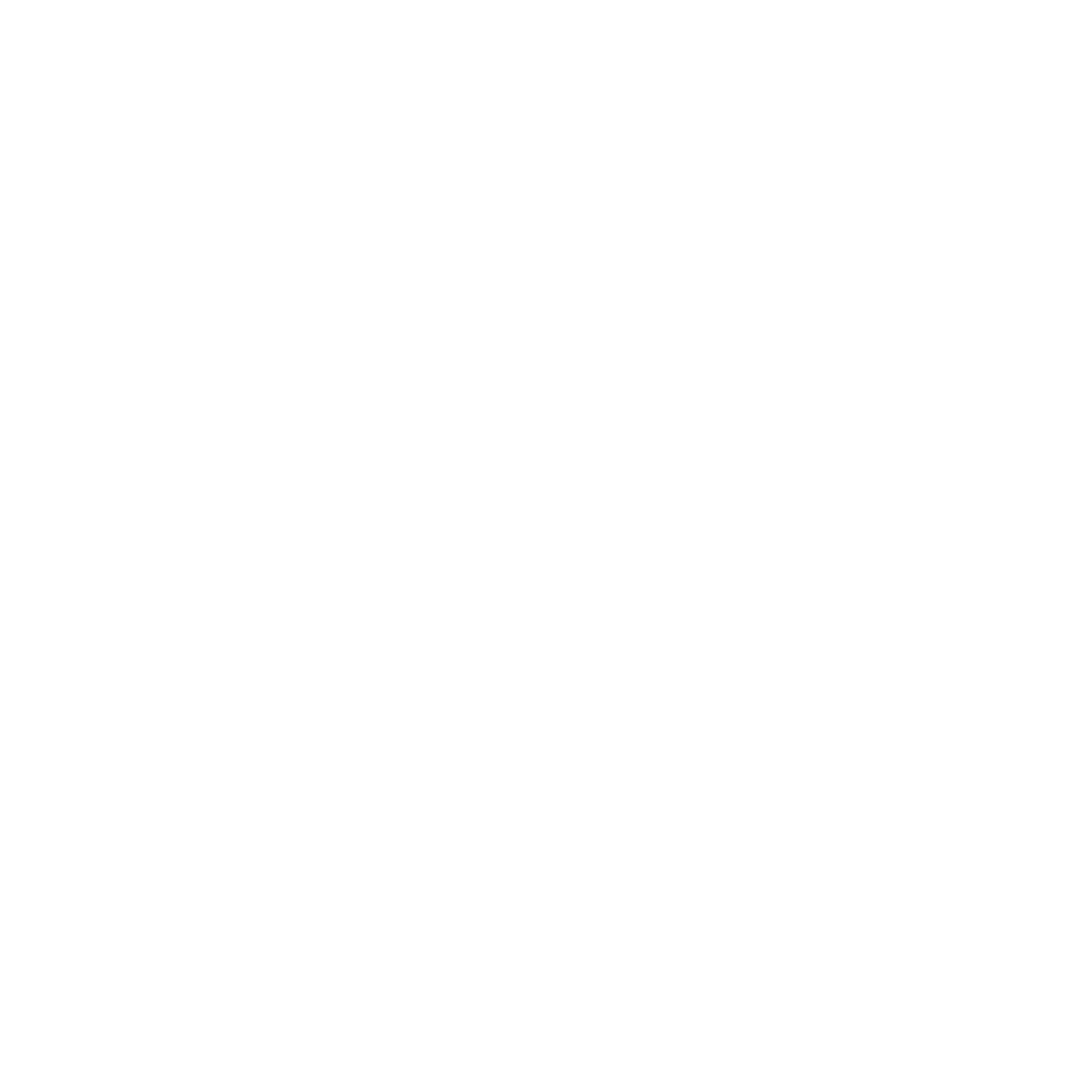 Skydio